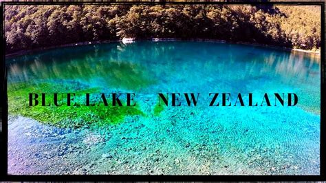 clearest lake   world blue lake  zealand youtube