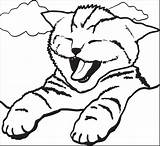 Coloring Cat Cute Kitty Yawning sketch template