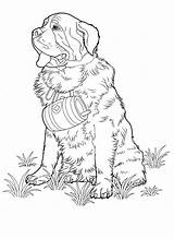 Corgi Pages Coloring Getcolorings sketch template
