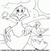 Coloring Chick Hatching sketch template