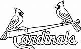 Cardinals Coloring Louis Pages St Cardinal Baseball Blues Cincinnati Reds Saint Logo Printable Bird Drawing Adult Line Color Mlb Kids sketch template