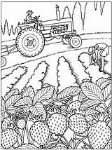 Fruit Coloring Book Michigan Strawberry Environment Growing Activity Made Shop sketch template