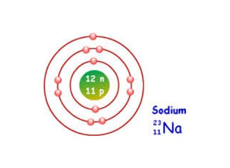 bohr diagram for sodium atom diagram media