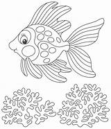 Glimlachen Gouden Vissen Vriendschappelijke Dipper Doodle Dripping Nectar Jar Friendly sketch template