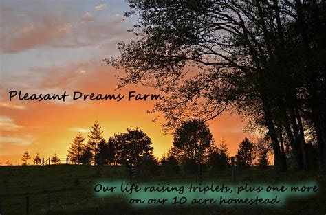 Pleasant Dreams Farm