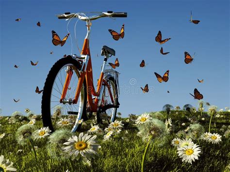 bicycle   butterfly stock illustration illustration  nature