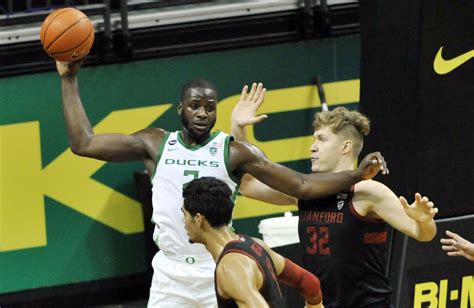 oregon men s basketball moves up in polls after sweeping bay area teams