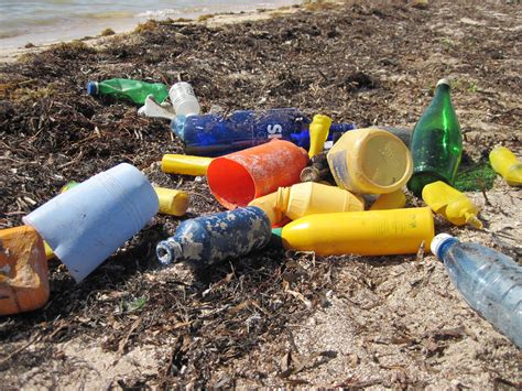 plastics   ocean      impacts   solutions orrs marine
