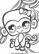 Girly Littlest Lps Petshops Loudlyeccentric Letscolorit Getcolorings Print Getdrawings sketch template