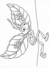 Bug Bichos Inseto Flik Colorat Krabbeln Insecto Ausmalbilder Temu Trawie Dawno Kolorowanki Grosse P19 Asas Suas Raupe Malvorlagen Chucrute Kostenlos sketch template
