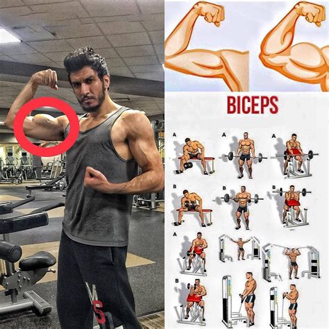 biceps exercises video training weighteasylosscom