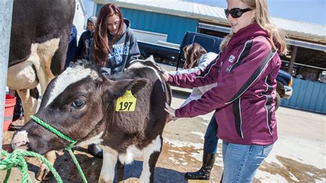 ag day focuses   state farming