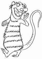 Coloring Pages Opossum sketch template