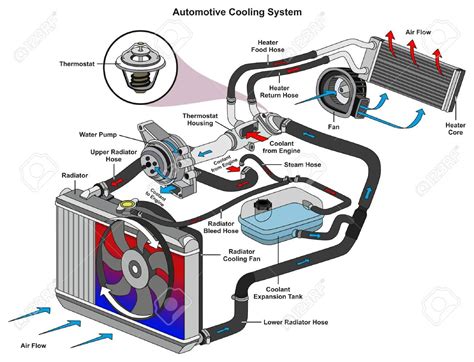 automotive cooling system infographic diagram showing process royalty  cliparts vectors