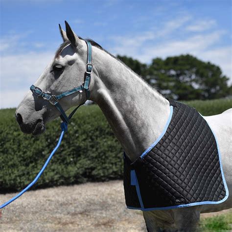horse accessories caribu horse wear