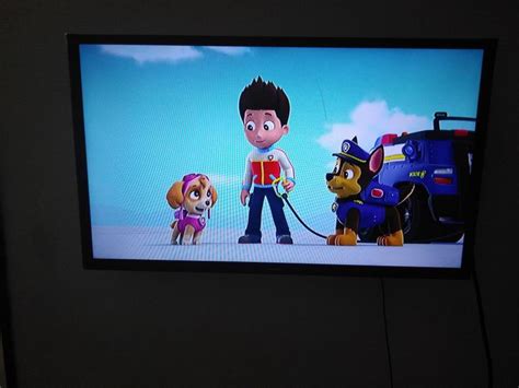 Paw Patrol Chase X Skye Collection The New Pup Wattpad