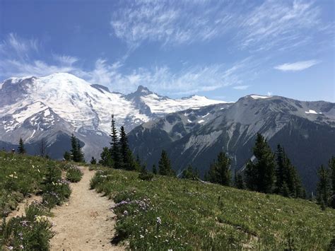 drones allowed  national parks fly  drone