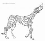 Greyhound Designlooter Jeanni Kistler sketch template