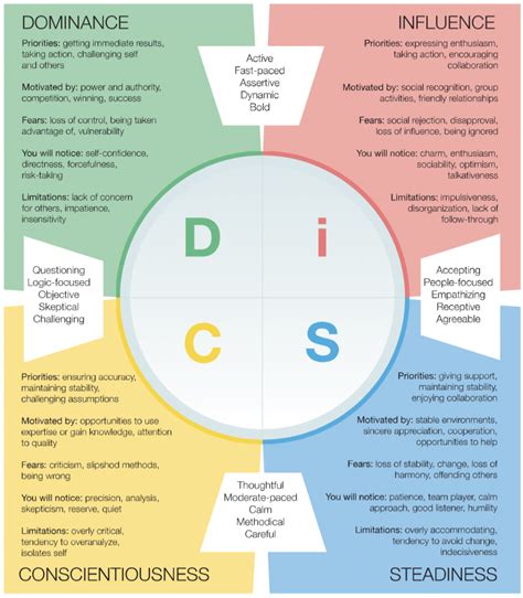 disc personality assessment disc profiles explained