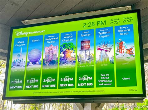 complete guide    bus  disney world pakistans taste