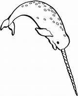 Narwhal Coloring Pages Drawing Narwhals Whales Whale Google Drawings Print Search Clipart Cute Ancient Visit Sheet Horns Info Unique Choose sketch template