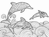 Dolphin Coloring Pages Adult Printable Coloringgarden Animal Print Colouring Dolphins Color Mandala Sheets Pdf Cute Animals Patterns Books Format Drawing sketch template