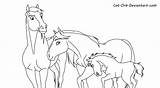 Lineart Kleurplaat Orb Paard Stallion Cimarron Colouring Samen Fc04 Foals sketch template