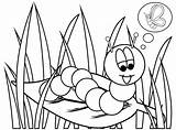 Pages Caterpillar Coloring Butterfly Getcolorings sketch template
