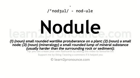 pronunciation  nodule definition  nodule youtube
