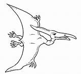 Coloring Pteranodon Draw Dinosaur Pages Drawing Drawings Dinosaurs Coloringsun Kids Colouring Easy Outline Template Choose Board sketch template
