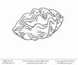 Mussel Designlooter Scallop Seashell sketch template