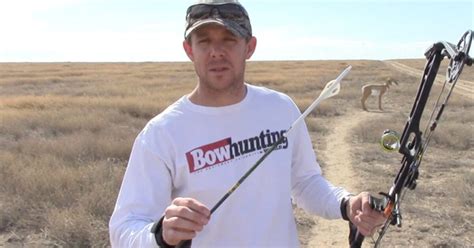 video  arrows  shoot   grand view outdoors