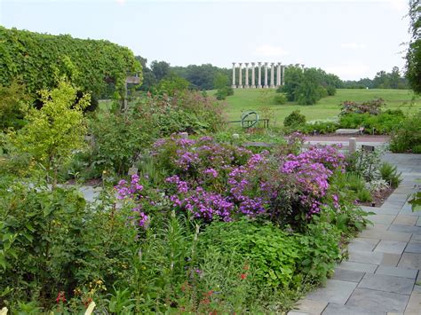 national arboretum garden washington