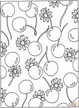 Coloring Pages Cherry Cherries Flowers Printable Blossom Pattern Clipart Library Categories Book Similar Malvorlagen Popular sketch template