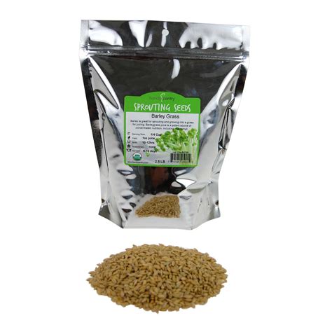 organic barley seeds  lbs  hull intact barleygrass seed