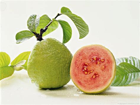 guava inexpensive healthiest fruit  nature healthyliving