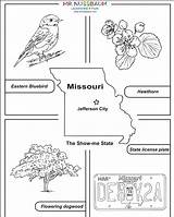 Missouri State Coloring Tree Bird Flower Symbols Pages Activities Printables Printable Mrnussbaum Allows Students Awesome sketch template