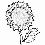 Sunflower Coloring Pages Drawing Printable Adults Sunflowers Line Color Gogh Van Drawings Seed Sheets Getdrawings Ve Template Print Sheet Seeds sketch template