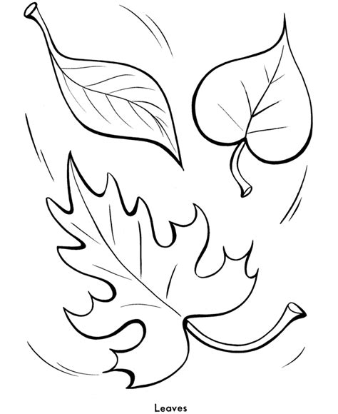 easy shapes coloring pages fall leaves fall coloring pages leaf