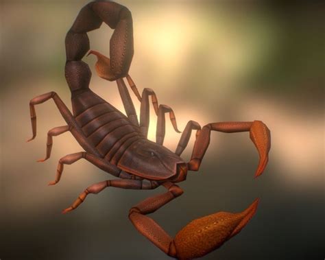 animated scorpion  model game ready animated rigged fbx cgtradercom