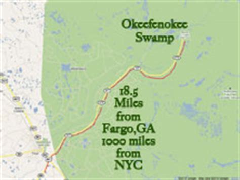 incredibly beautiful okefenokee swamp remarkable journeys