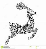 Coloring Adult Deer Pages Christmas Vector Reindeer Stress Zentangle Anti Tribal Ornamental Patterned Tattoo Poster Print Printable Stock Hand Illustration sketch template
