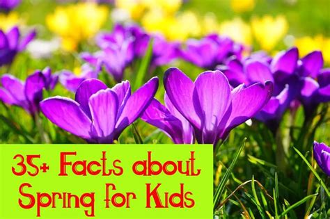 popular facts  spring  kids