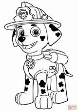 Patrol Paw Clipart Clip Coloring Pages Mooi Marshall Print Printables sketch template