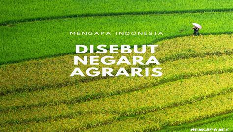 Indonesia Sebagai Negara Agraris Gagasan Civitas Akademika Umby