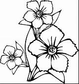 Flower Coloring Pages Small Color Getcolorings Print Fascinating sketch template