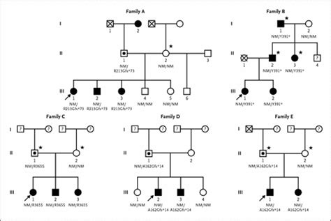 Central Precocious Puberty Caused By Mutations In The Imprinted Gene
