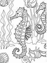 Coloring Pages Life Printable Marine Sea Ocean Color Under Getcolorings Print sketch template