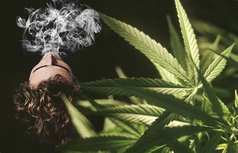 7 Surprising Health Benefits That Come From Weed Smoking