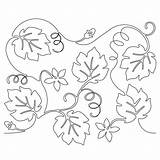 Pumpkin Vine Vines Quilting Drawing Coloring Designs Pages B2b Printable Machine Pumpkins Motion Line Patterns Drawings Longarm Choose Board Embroidery sketch template